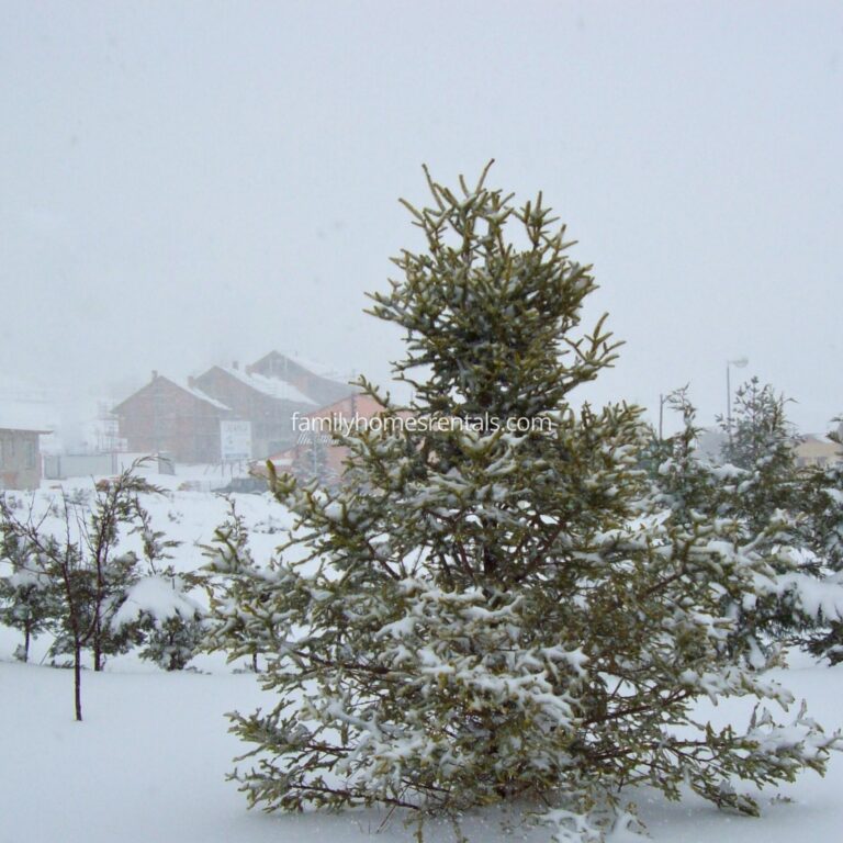 Casa Rural Las Tinajas