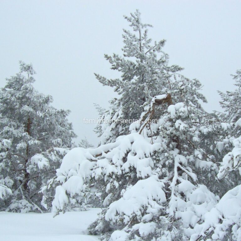 Casa Rural Las Tinajas