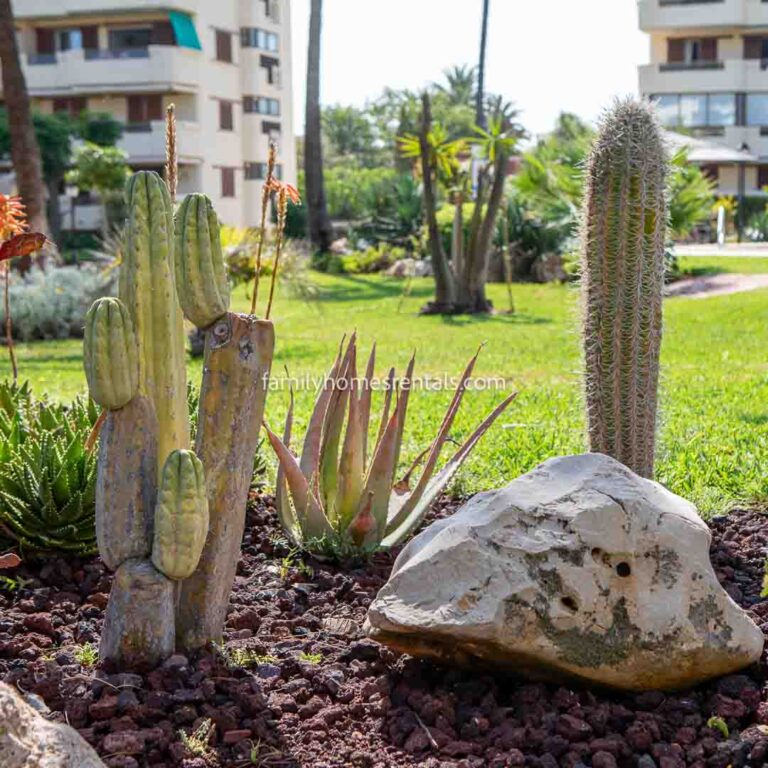 FH-Apt Duna CUADRADAS LOGO-32