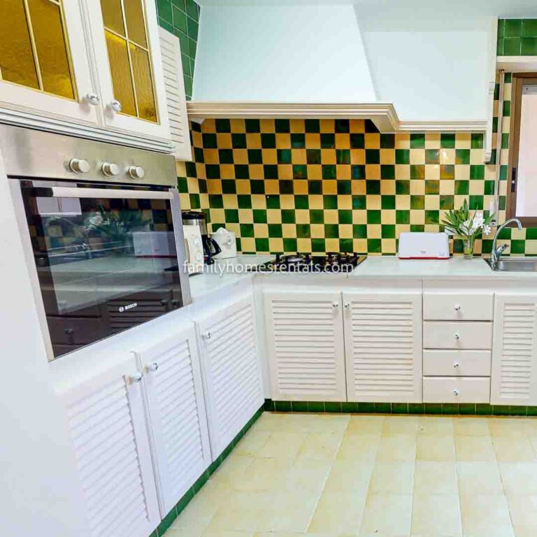 FH-Apt Duna CUADRADAS LOGO-91