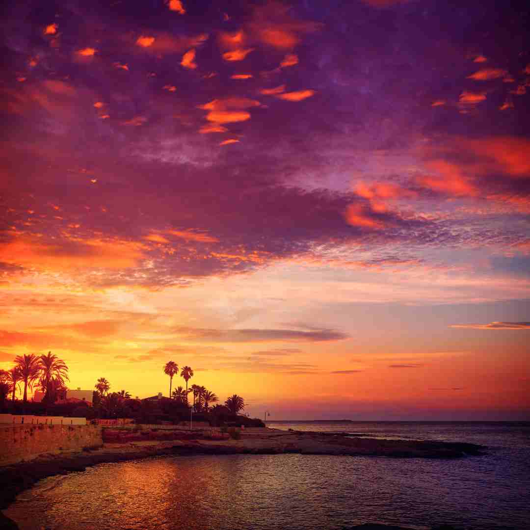 Programme des fêtes de Dénia 2025 : Santíssima sang 2025