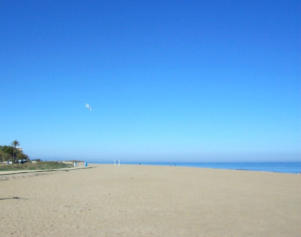 
  beaches of denia