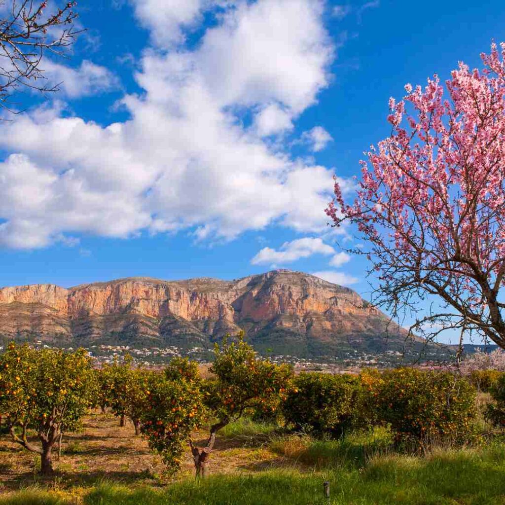 what to see in Jávea