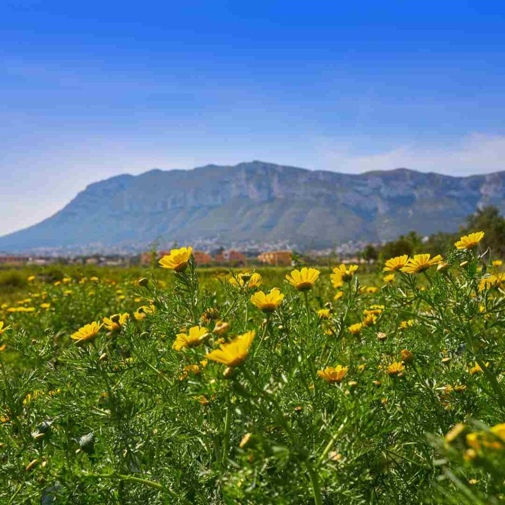 el montgó en denia