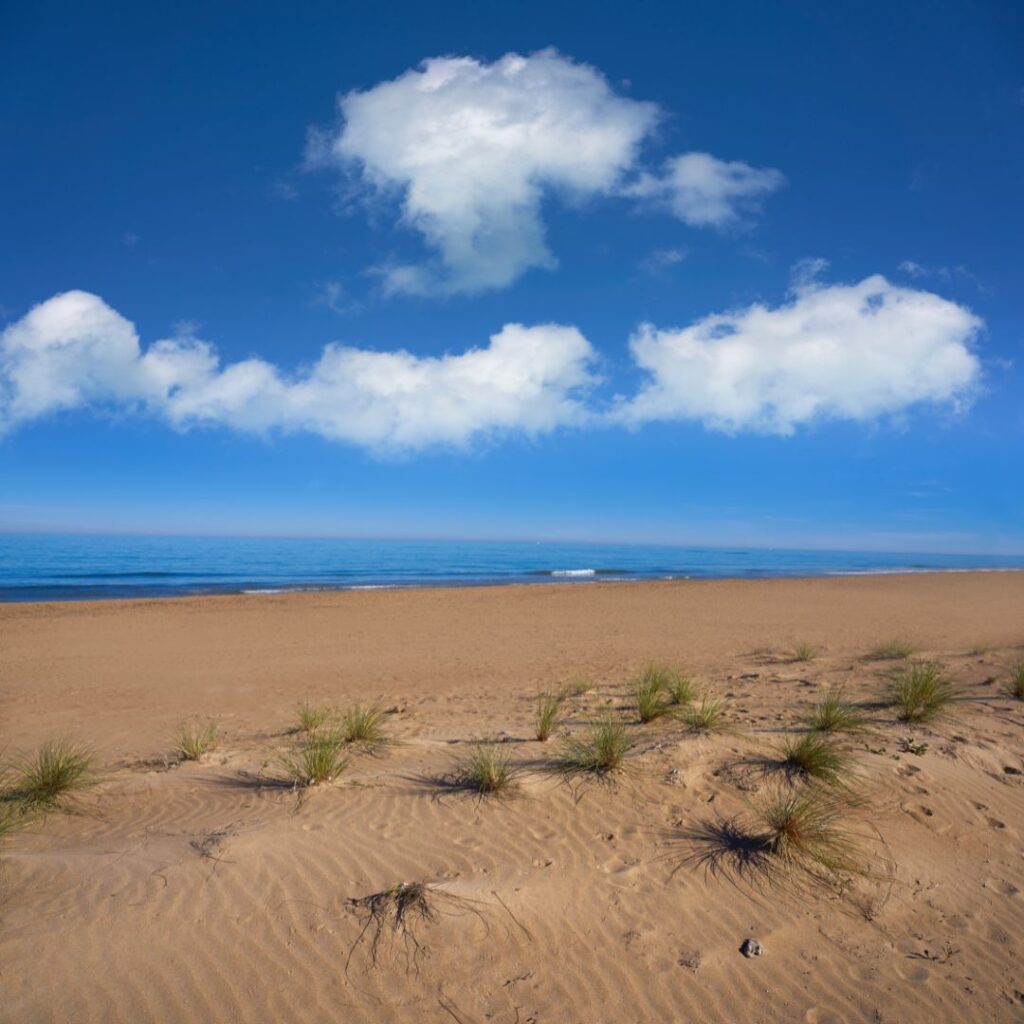 Playa de les bovetes