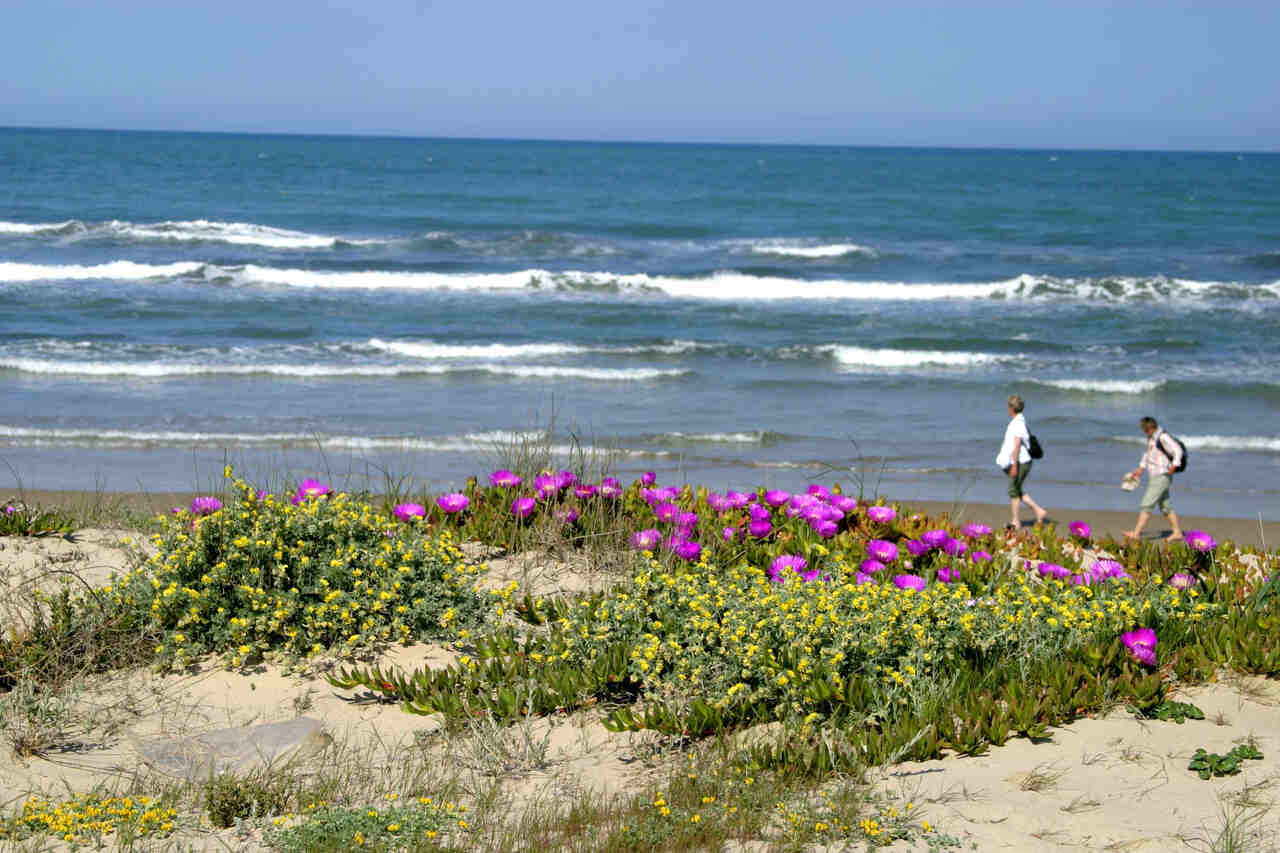 Playa Les Deveses Denia: Duna y Belleza en la Comunitat Valenciana