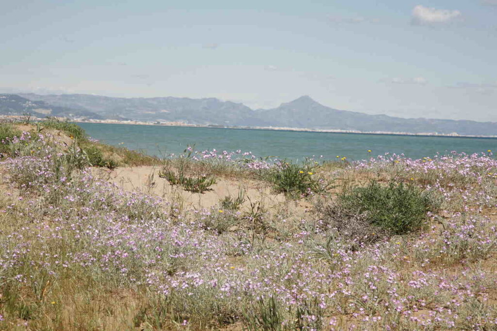 VIA VERDE DE DENIA