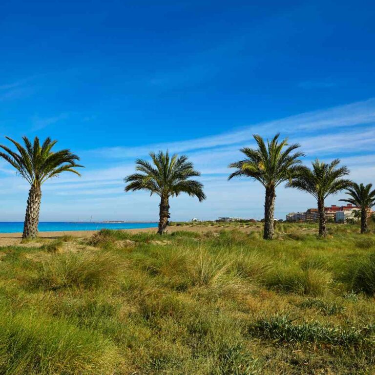 Playa les albaranes denia