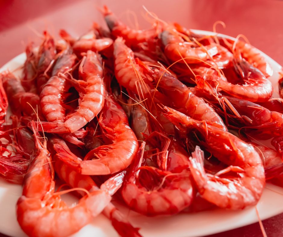 Dónde Comer en Denia: Los 10 Mejores Restaurantes en Denia 3 comer en denia