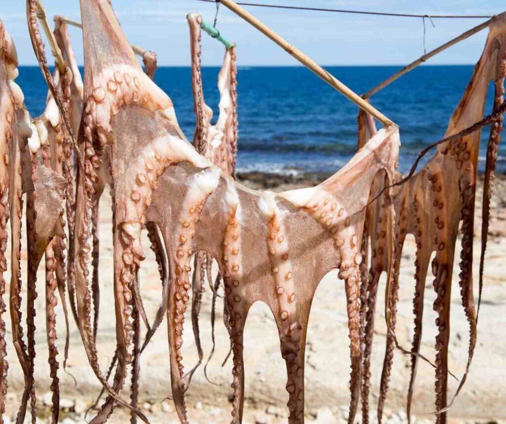 Dónde Comer en Denia: Los 10 Mejores Restaurantes en Denia 4 comer en denia