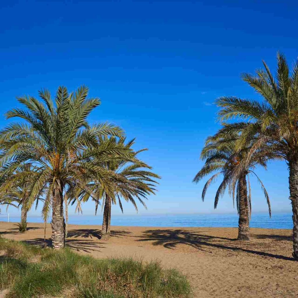 playa les marines