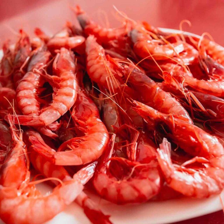 Gamba roja de denia