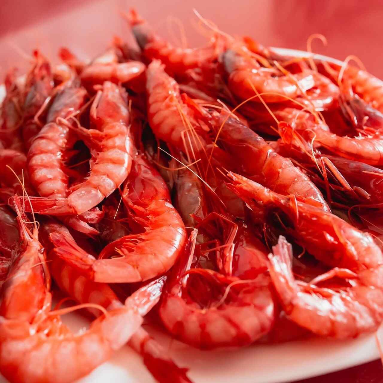 Gamba Roja de Dénia : Los mejores lugares en denia 2025