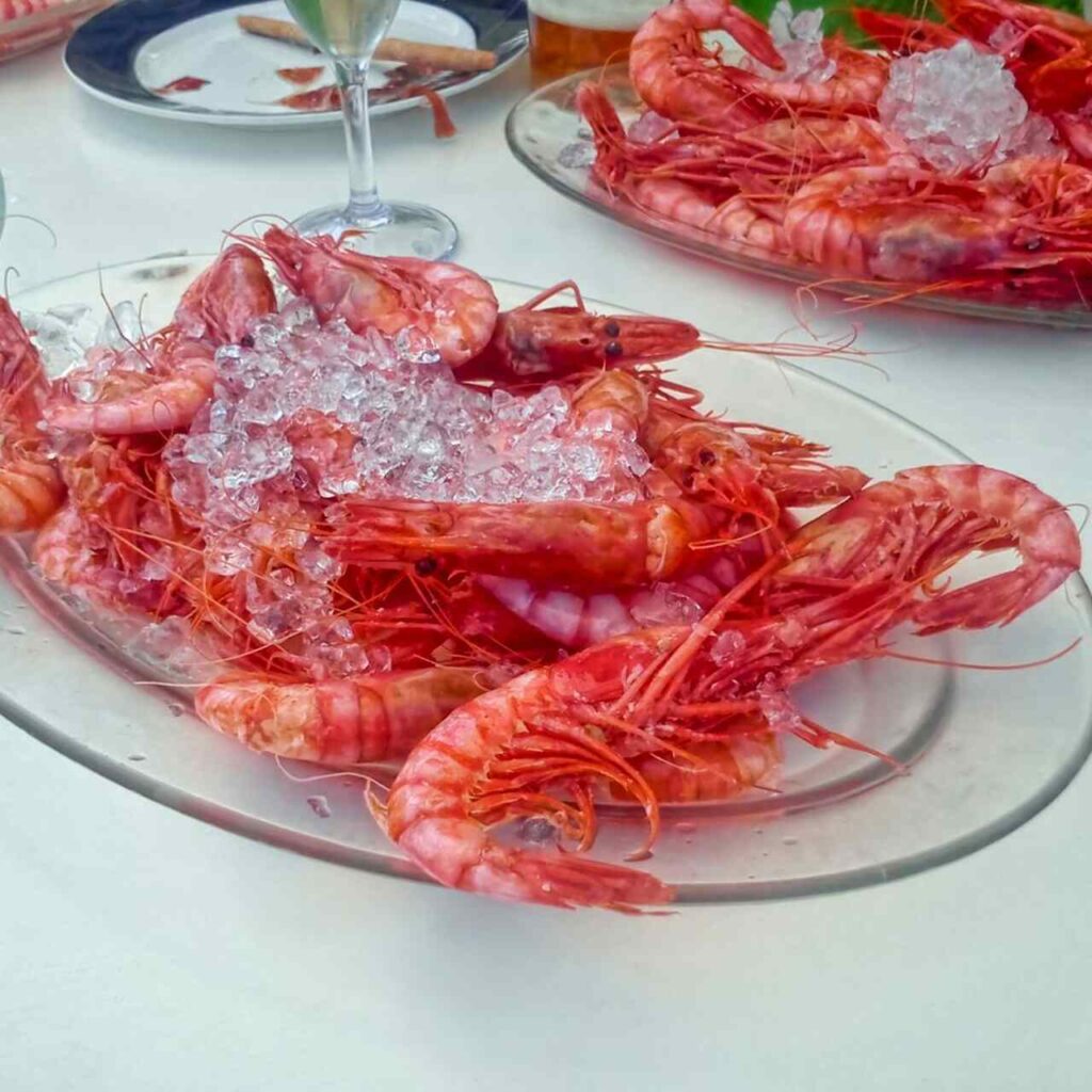 Gamba Roja de Dénia 
