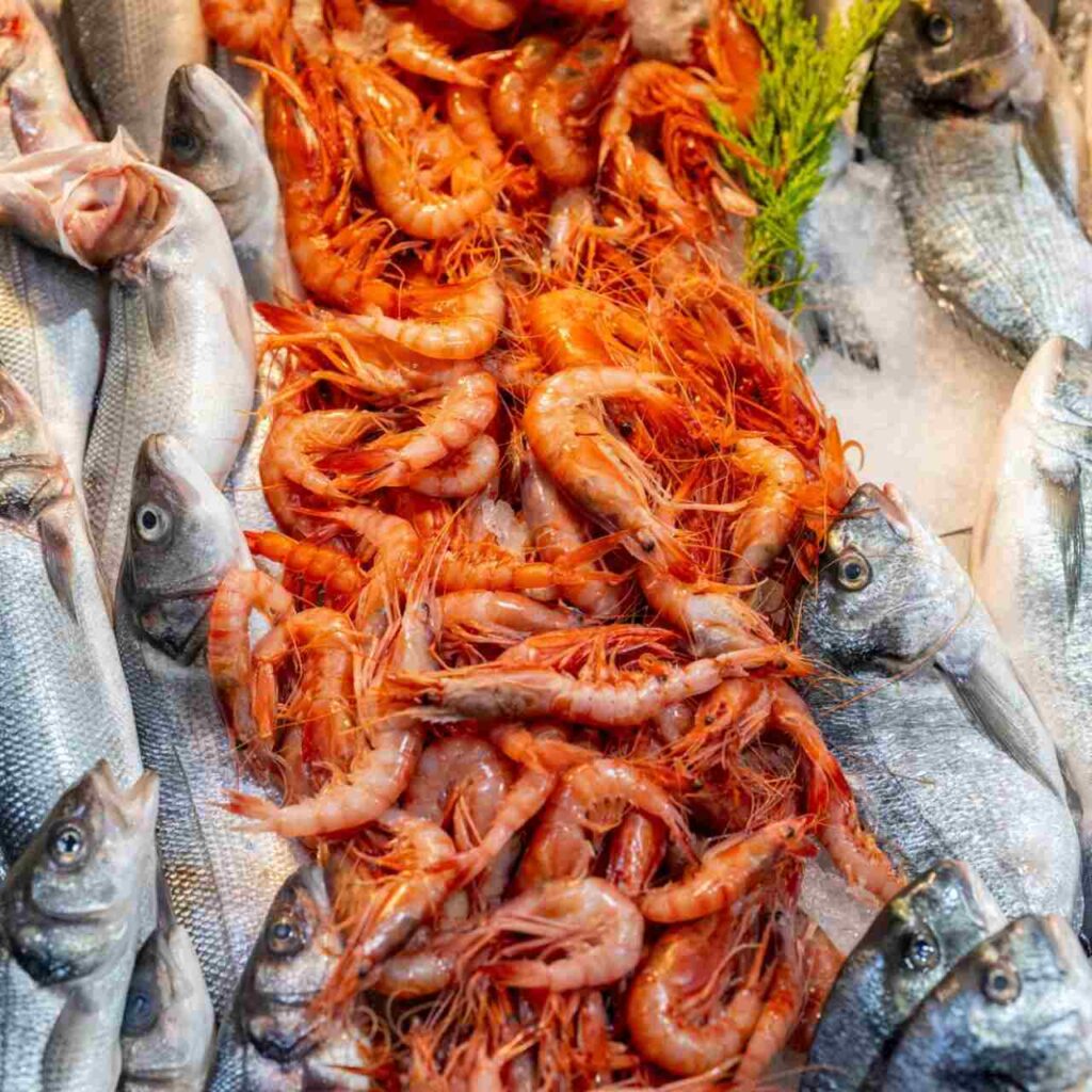Gamba Roja de Dénia 