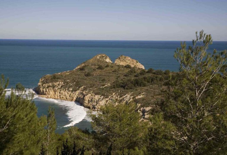 cala sardinera