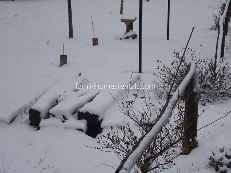 Apartamento Rural Selva 1