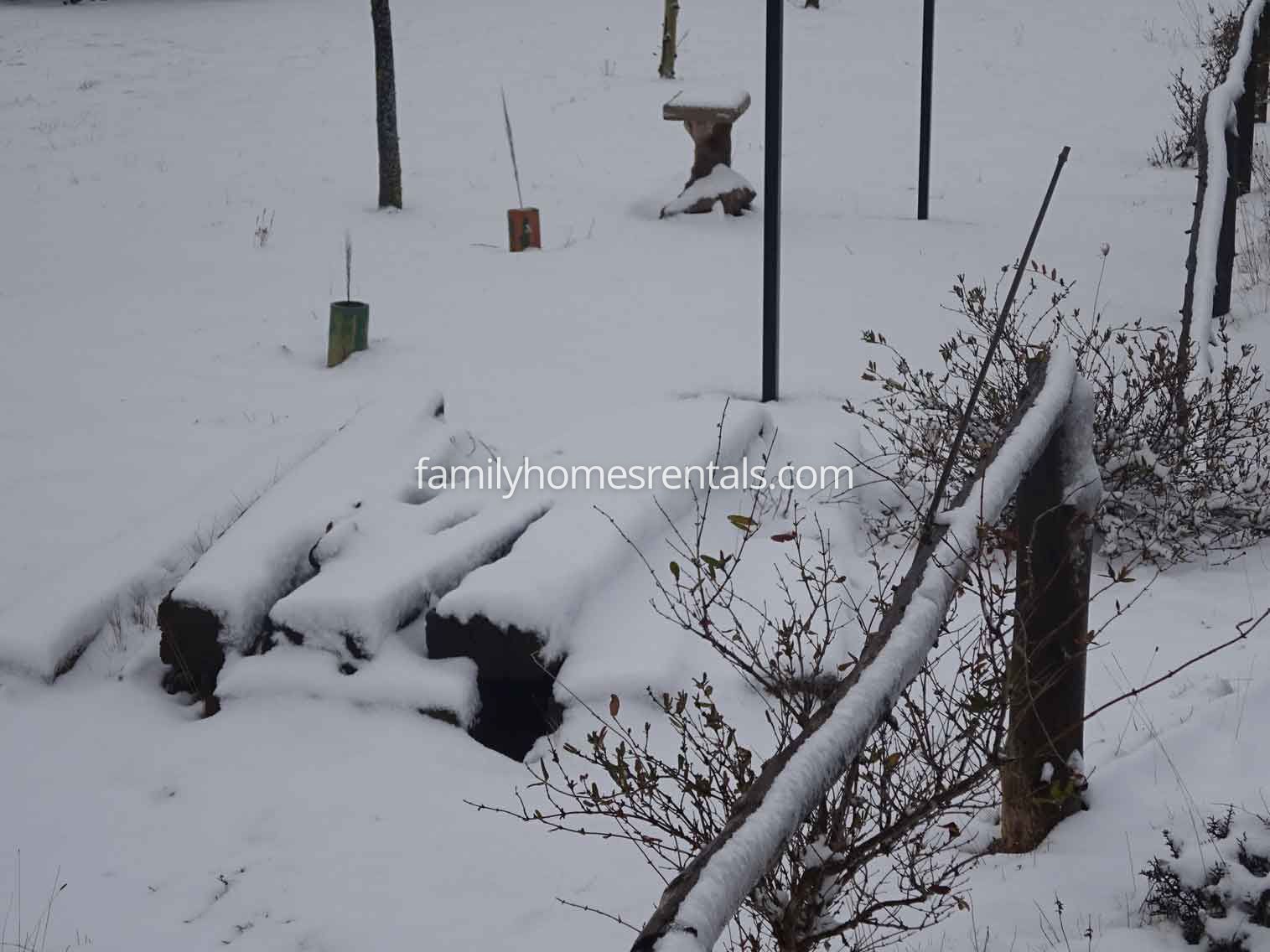 Apartamento Rural Selva 1