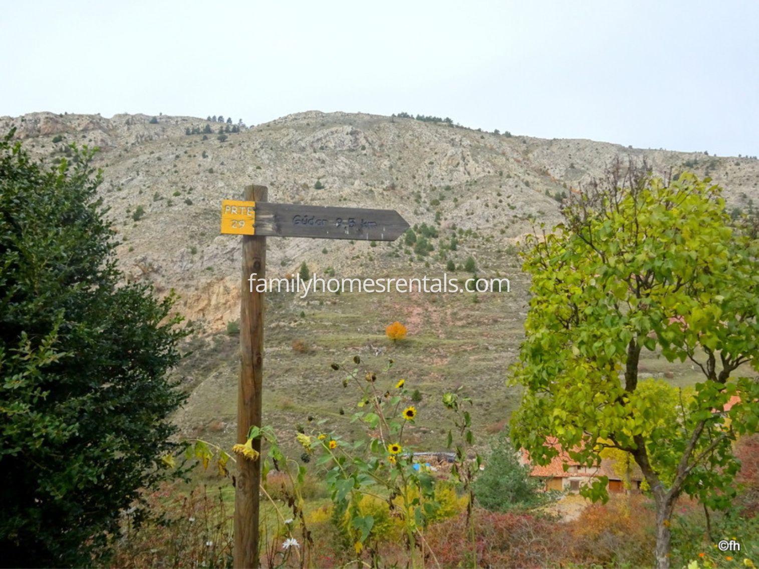 Apartamento Rural Selva 1