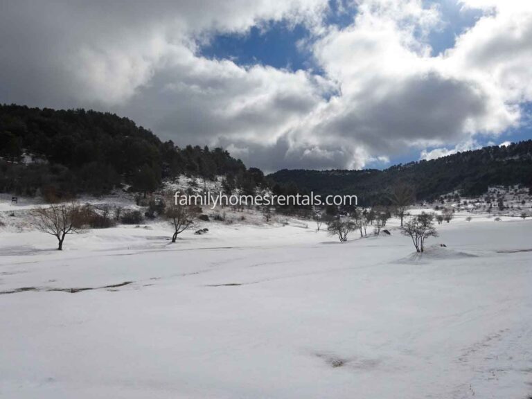 Apartamento Rural Selva 1