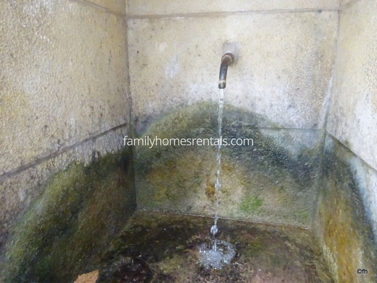 Apartamento Rural Selva 1