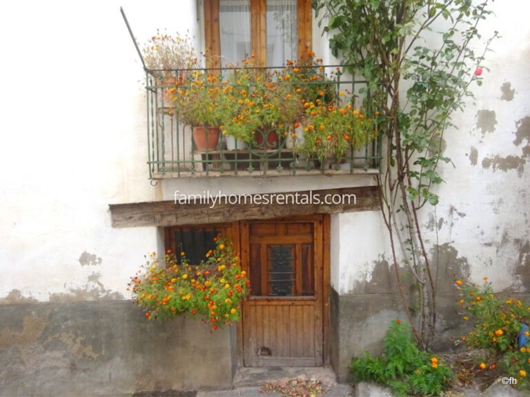 Apartamento Rural Selva 1