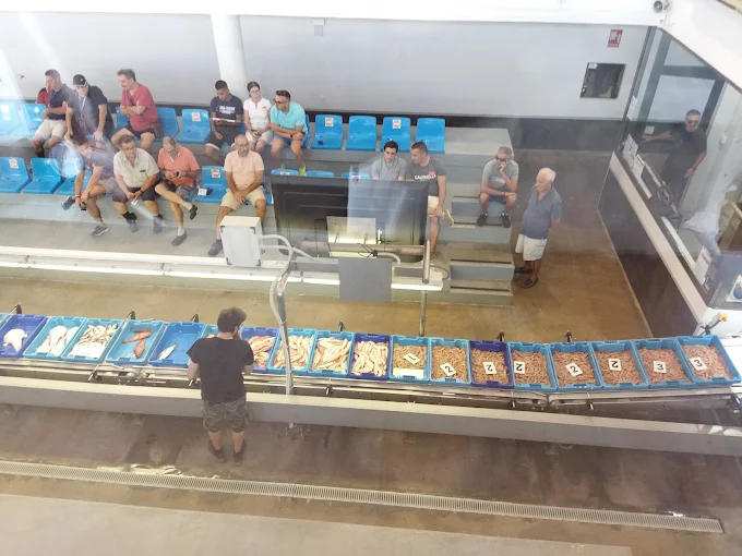 Descubre la Lonja de Denia I Visita Guiada de Dénia 2026 2 unnamed 40