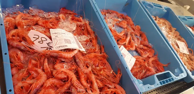 Descubre la Lonja de Denia I Visita Guiada de Dénia 2026 4 unnamed 41