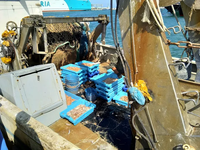 Descubre la Lonja de Denia I Visita Guiada de Dénia 2026 3 unnamed 44