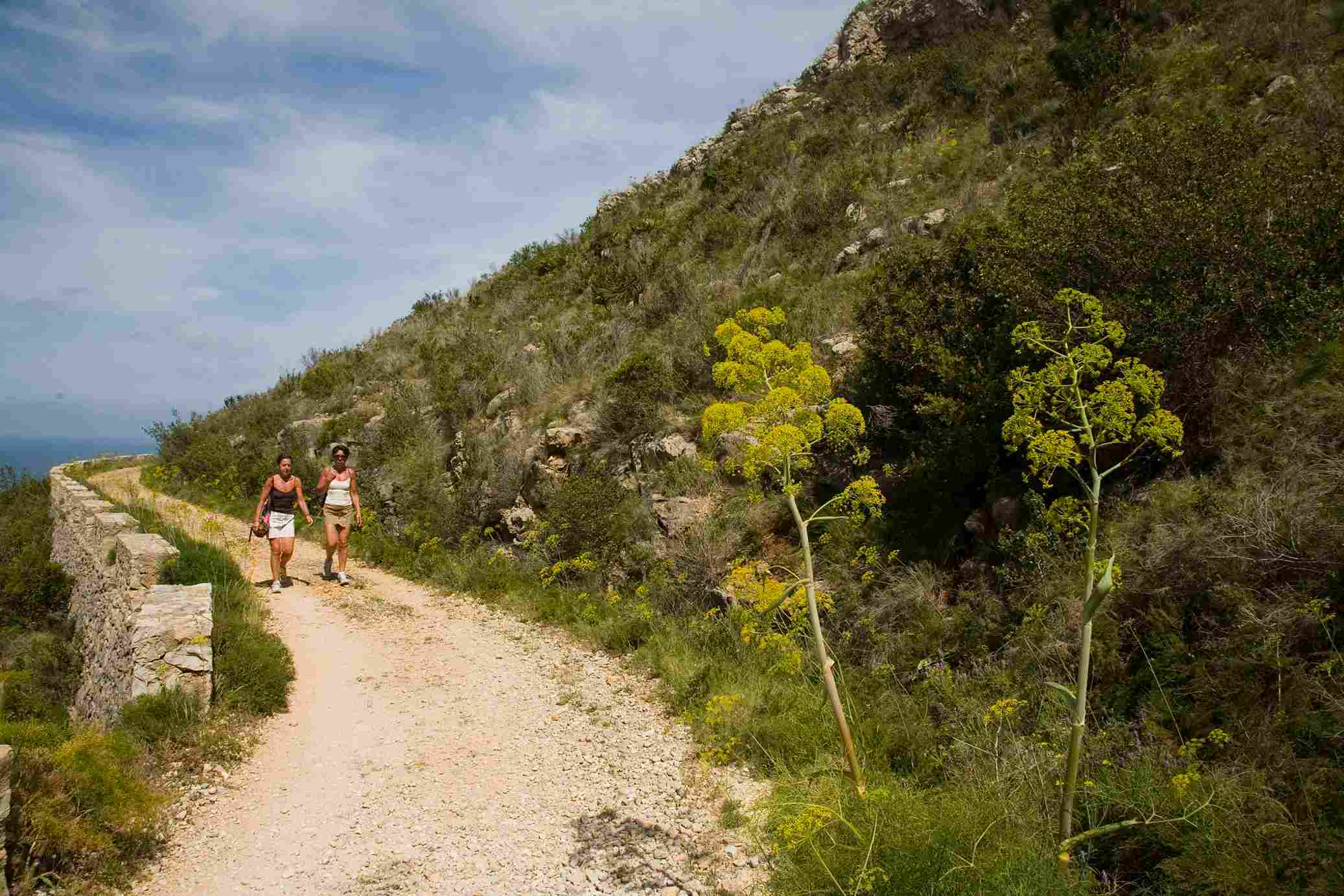 Découvrez les meilleurs itinéraires de randonnée à Denia : Excursions à Denia 2026
