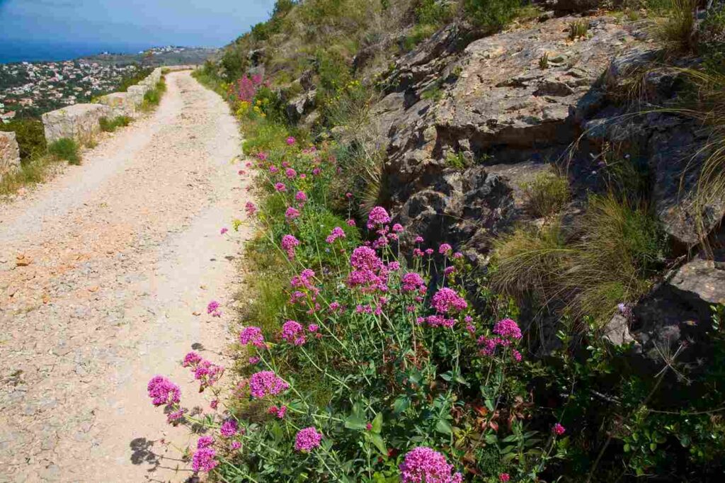 Descubre las mejores rutas de Senderismo en Denia: Excursiones en Dénia 2026 3 senderismo en denia